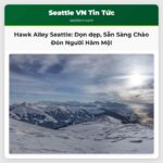 Khu Hawk Alley của Seattle được dọn dẹp sẵn sàng đón người hâm mộ Seahawks trước trận Playoff