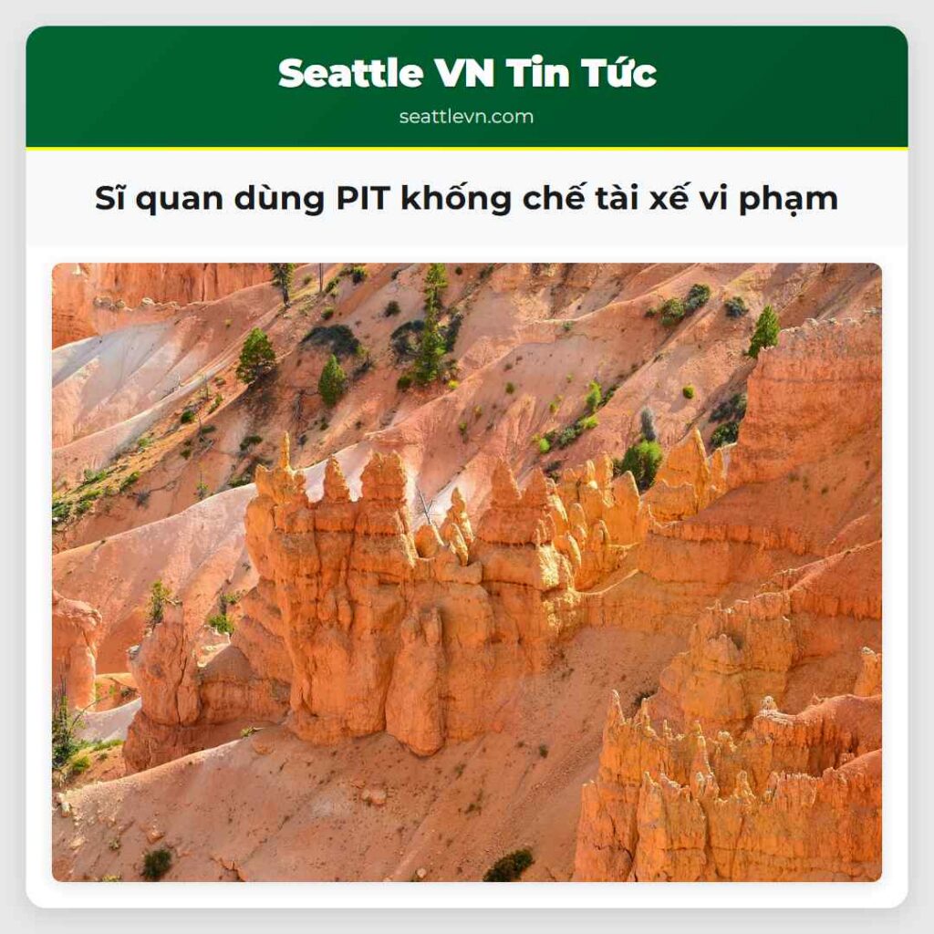 Sĩ quan dùng PIT khống chế tài xế vi phạm