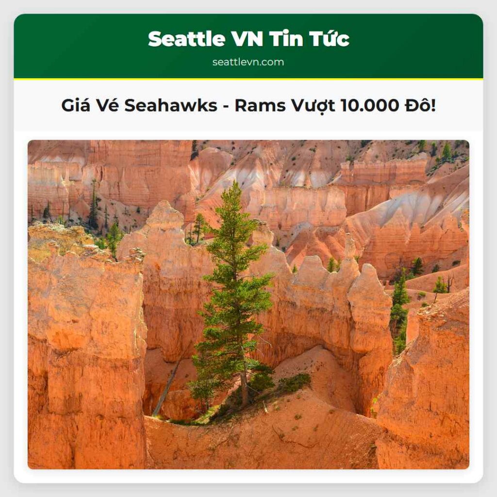 Giá Vé Seahawks - Rams Vượt 10.000 Đô!