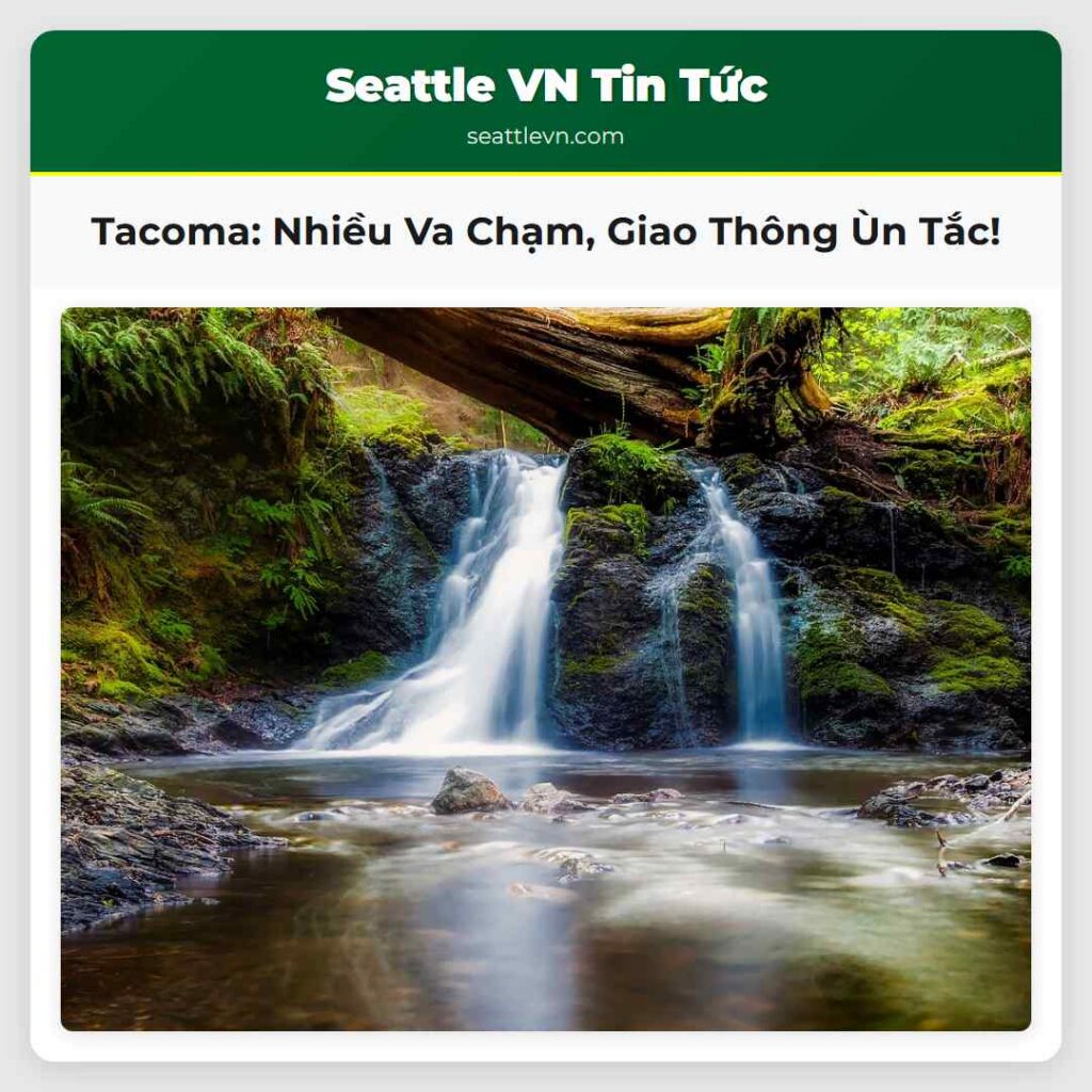 Tacoma: Nhiều Va Chạm, Giao Thông Ùn Tắc!