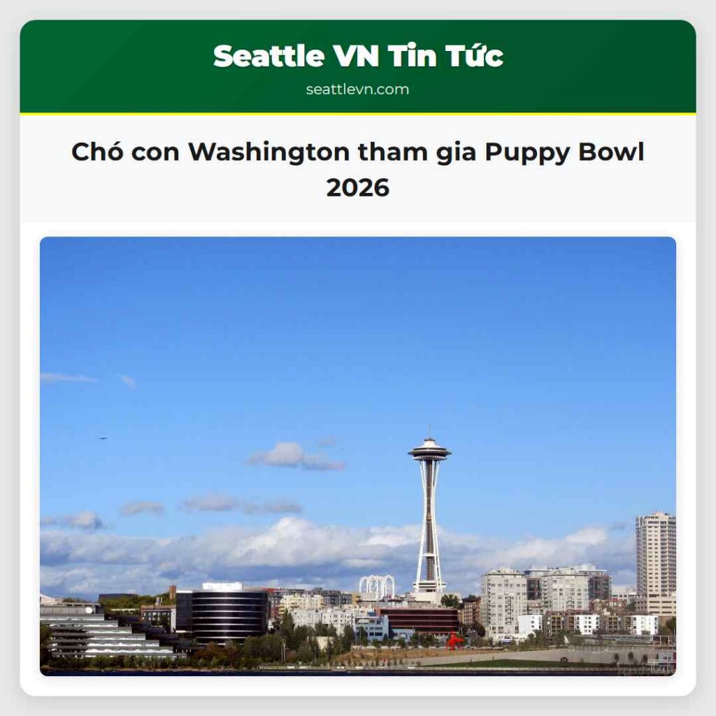 Chó con Washington tham gia Puppy Bowl 2026