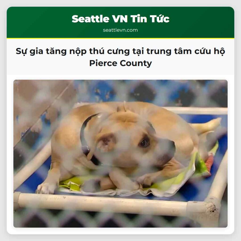 Sự gia tăng nộp thú cưng tại trung tâm cứu hộ