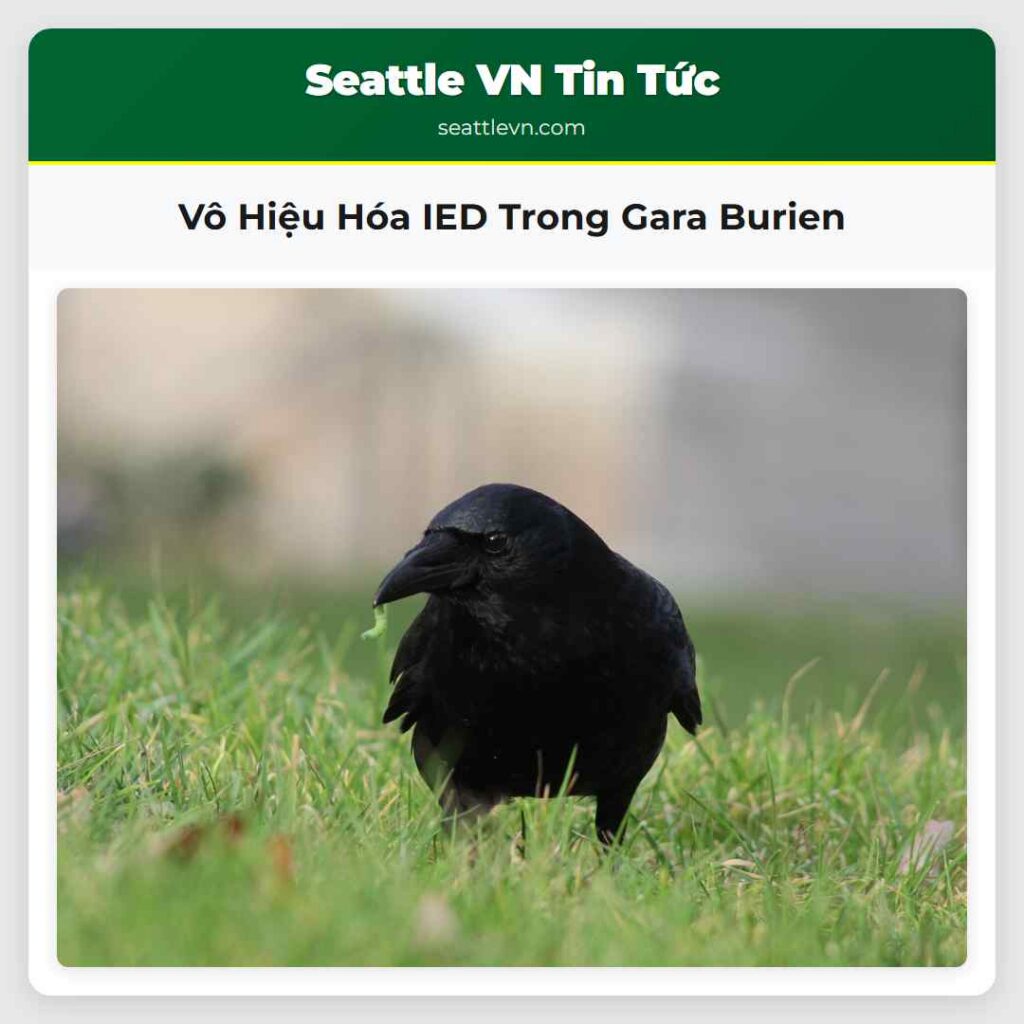 Vô Hiệu Hóa IED Trong Gara Burien