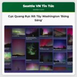 Cực Quang Rực Rỡ Chiếu Sáng Bầu Trời Tây Washington