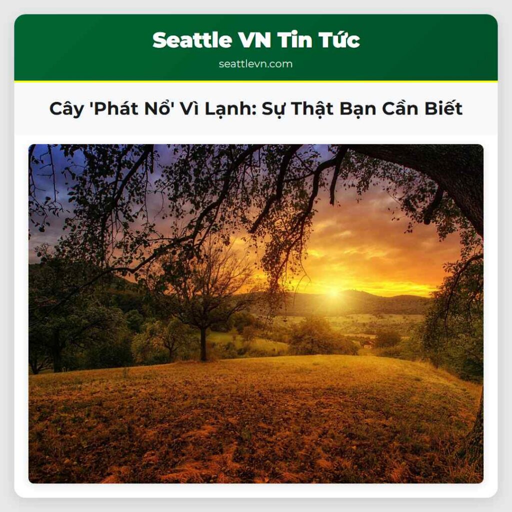 Cây 'Phát Nổ' Vì Lạnh: Sự Thật Bạn Cần Biết