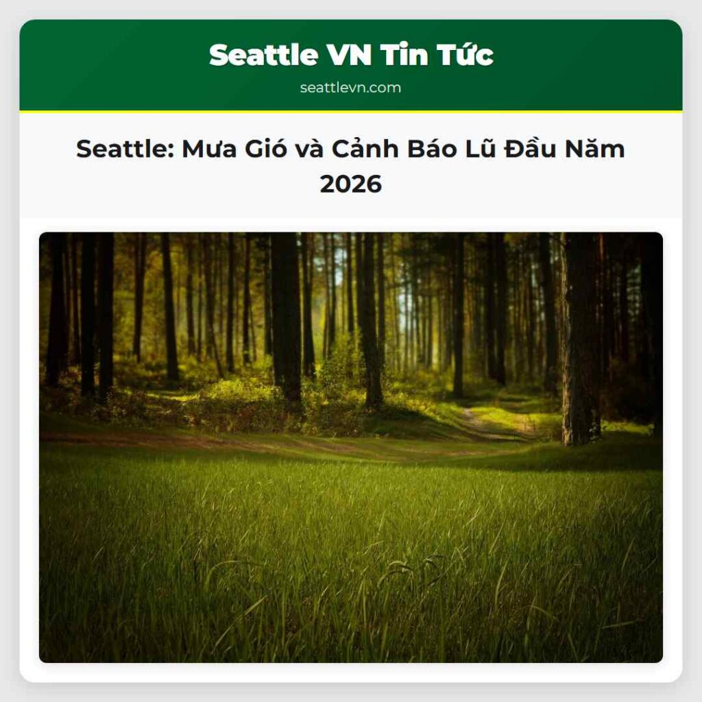 Seattle: Mưa Gió và Cảnh Báo Lũ Đầu Năm 2026