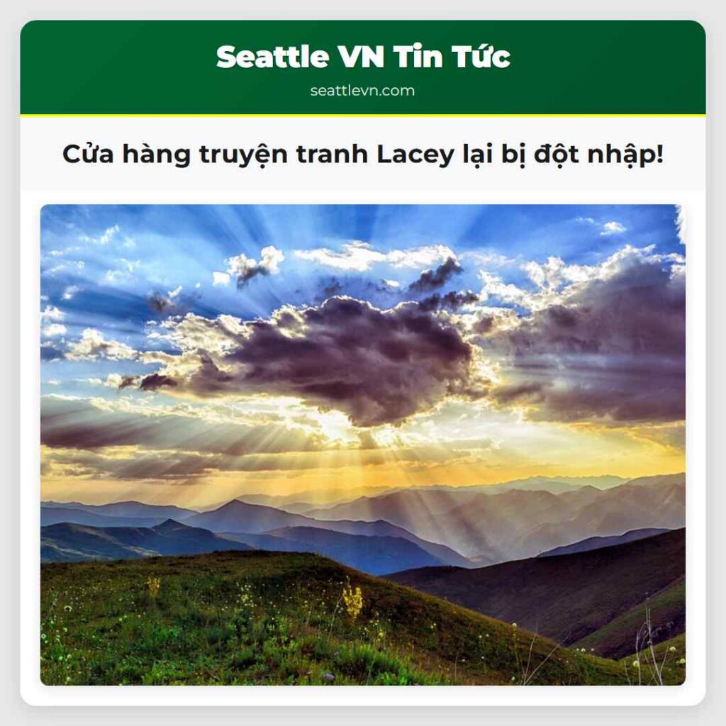 Cửa hàng truyện tranh Lacey lại bị đột nhập!