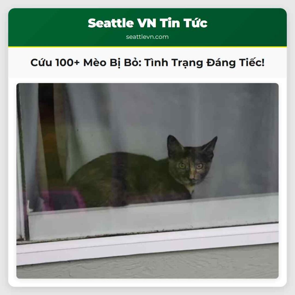 Cứu 100+ Mèo Bị Bỏ: Tình Trạng Đáng Tiếc!