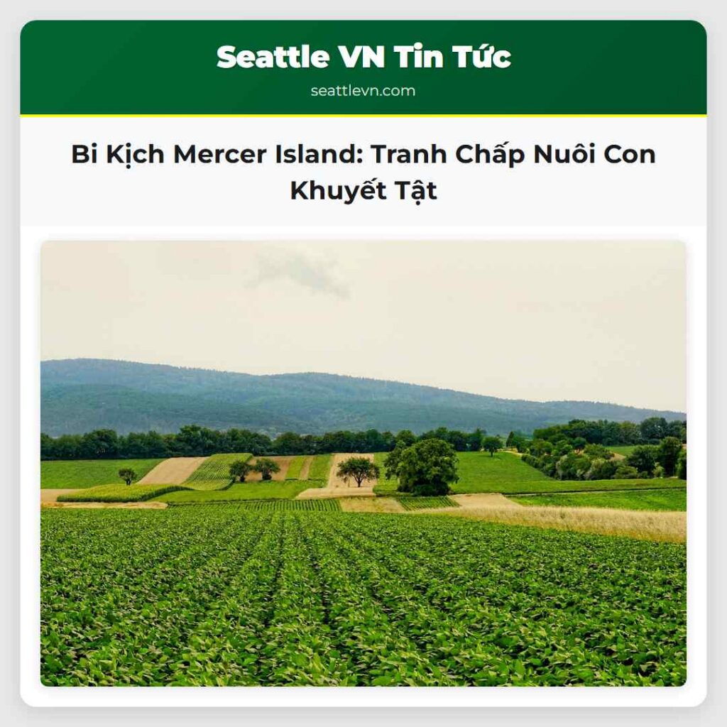 Bi Kịch Mercer Island: Tranh Chấp Nuôi Con Khuyết