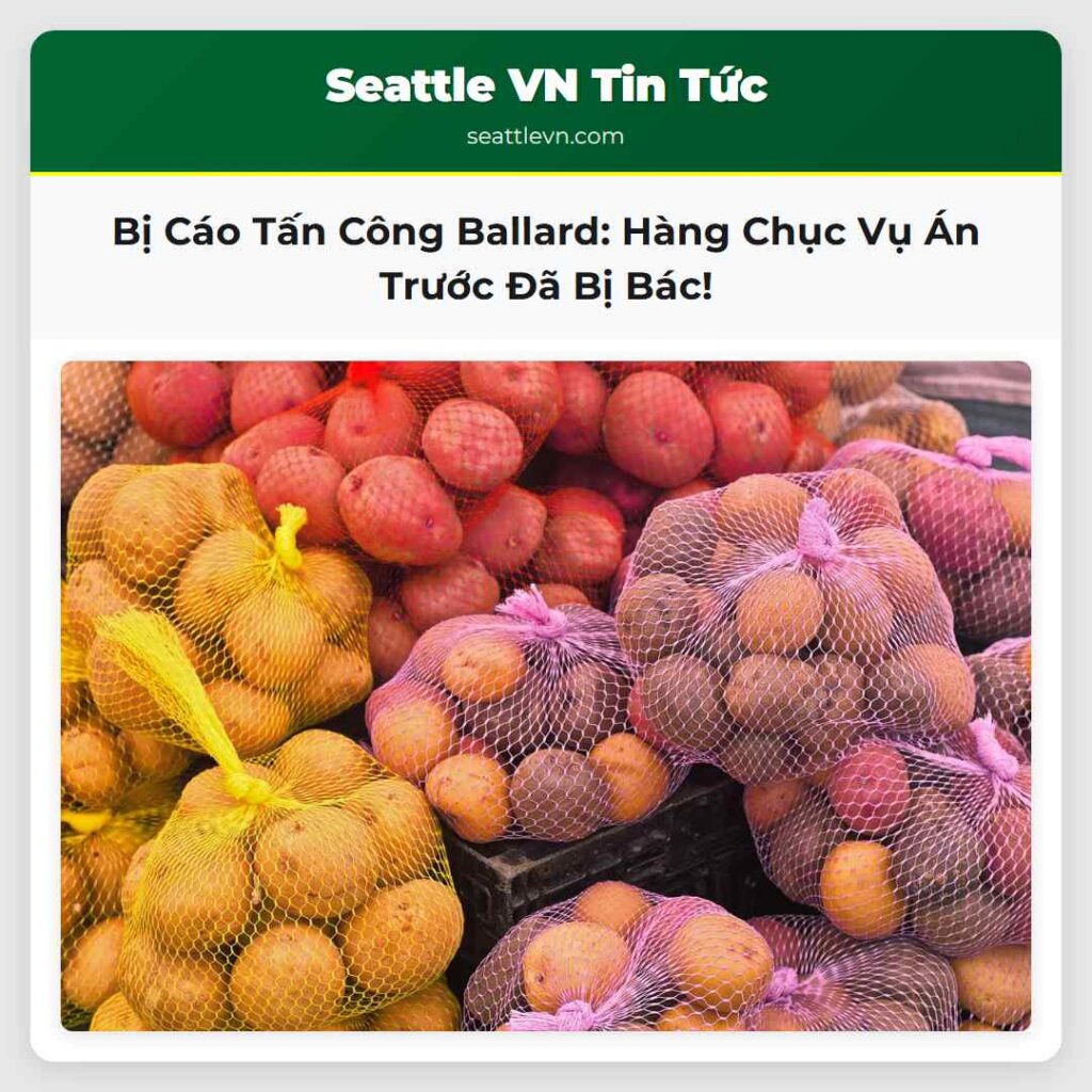 Bị Cáo Tấn Công Ballard: Hàng Chục Vụ Án Trước Đã