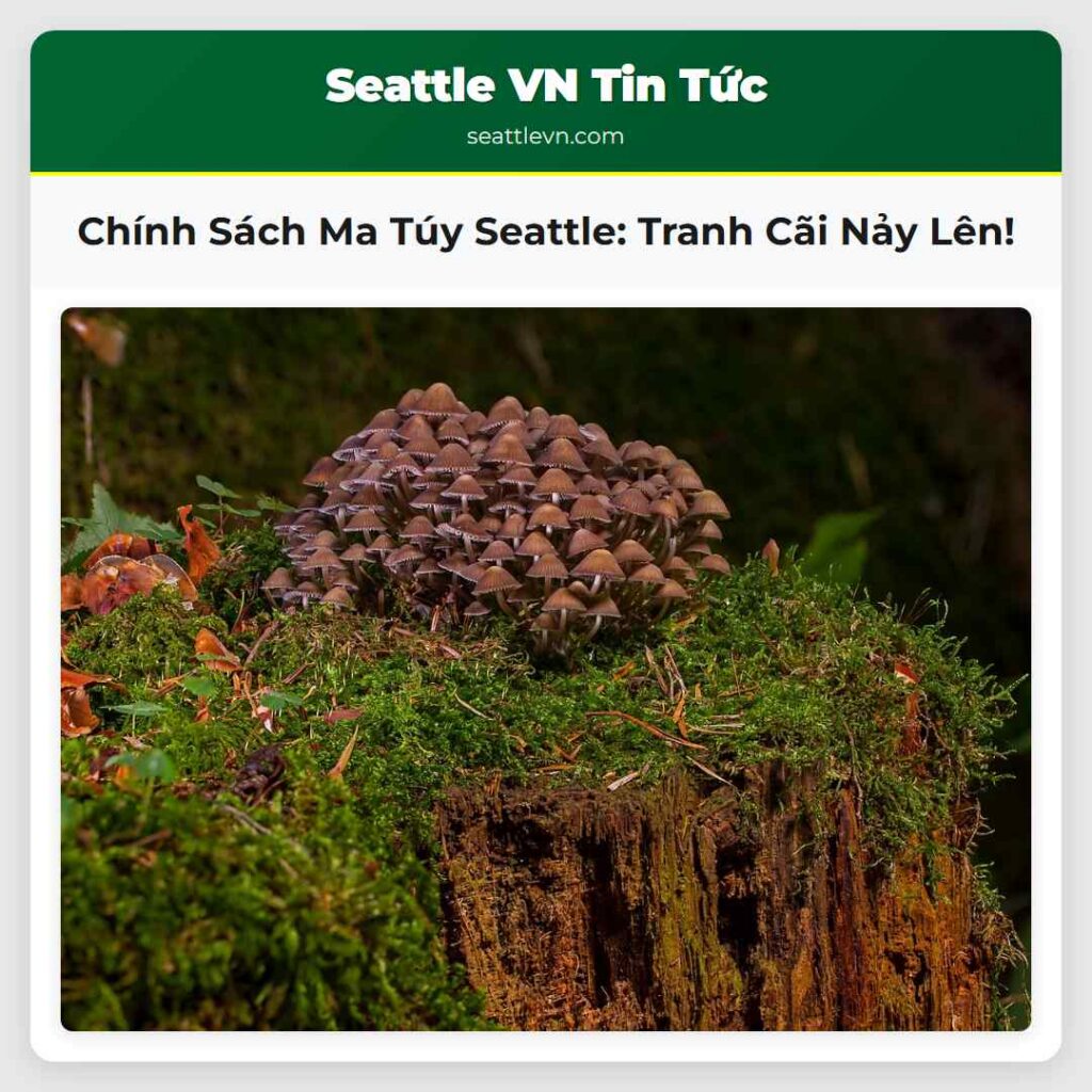 Chính Sách Ma Túy Seattle: Tranh Cãi Nảy Lên!