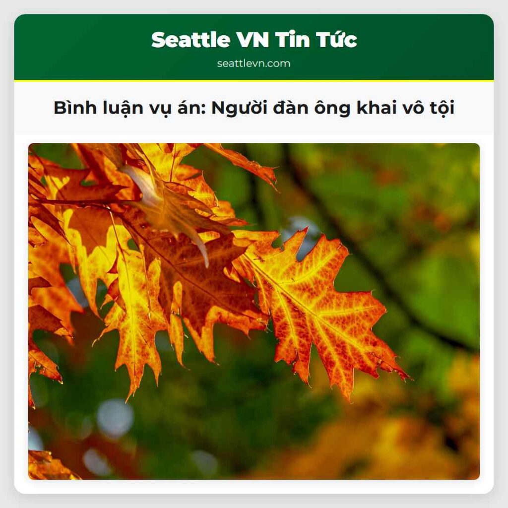 Bình luận vụ án: Người đàn ông khai vô tội