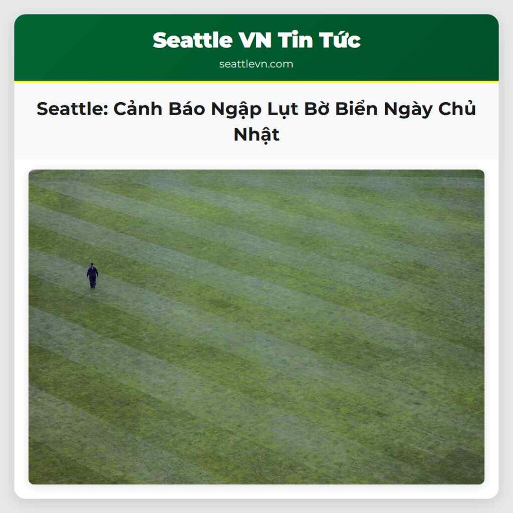 Seattle: Cảnh Báo Ngập Lụt Bờ Biển Ngày Chủ Nhật
