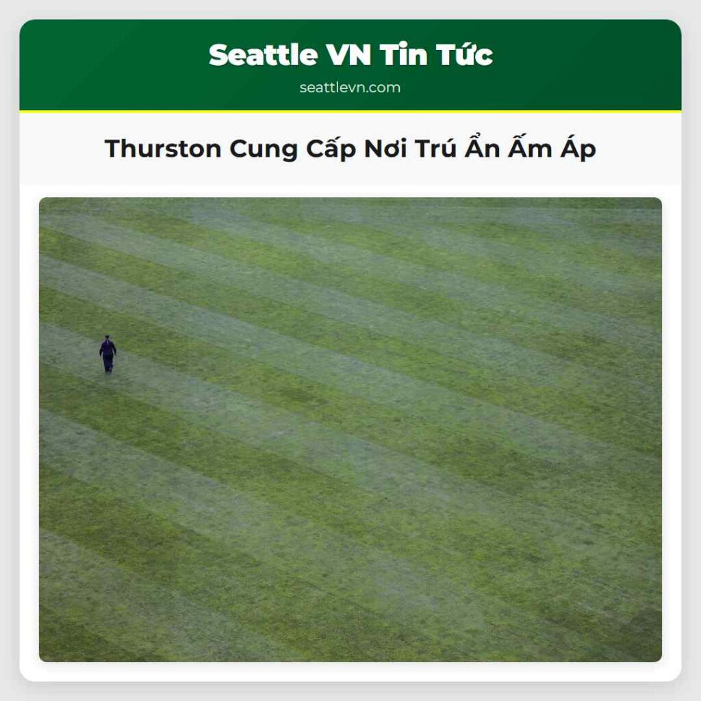 Thurston Cung Cấp Nơi Trú Ẩn Ấm Áp