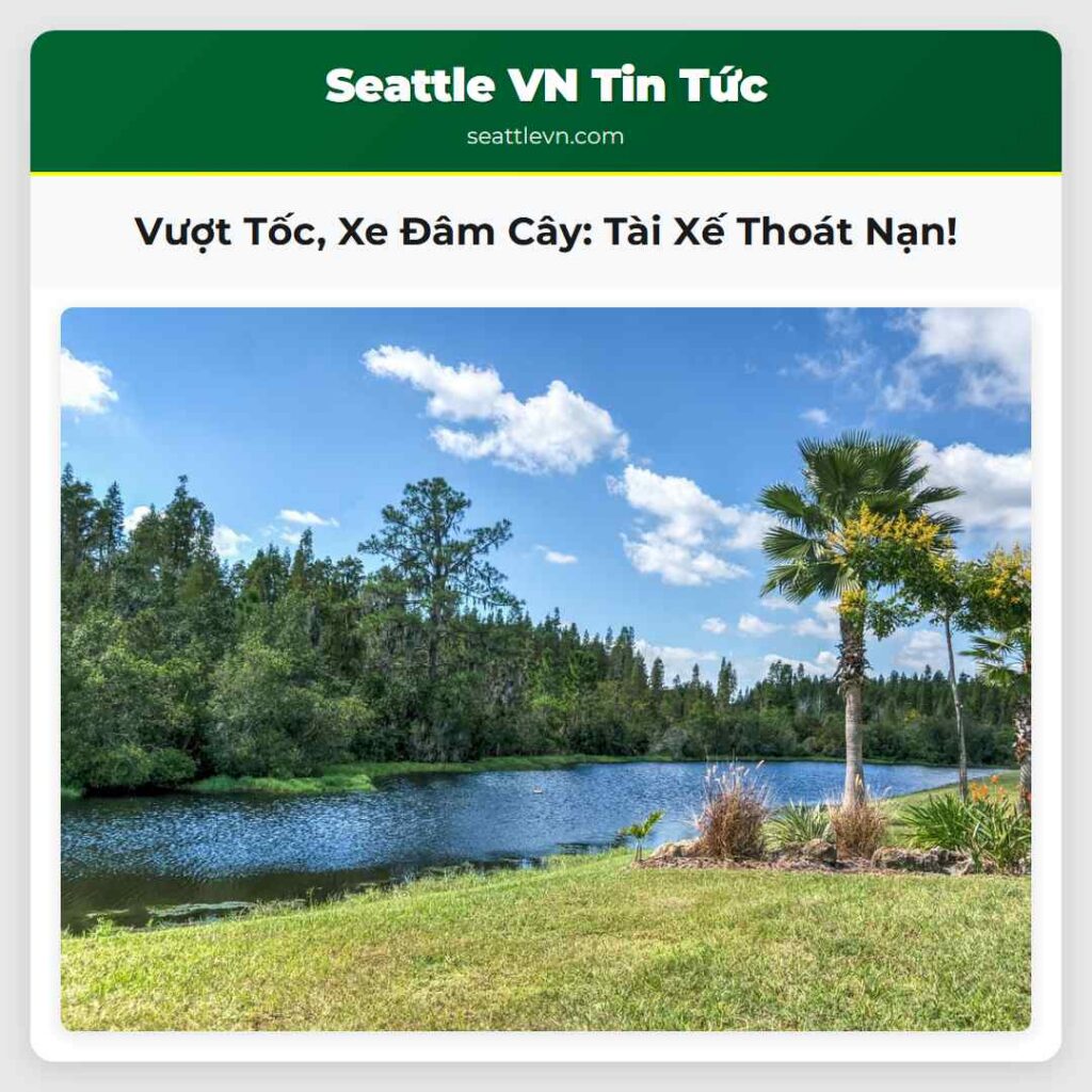 Vượt Tốc, Xe Đâm Cây: Tài Xế Thoát Nạn!