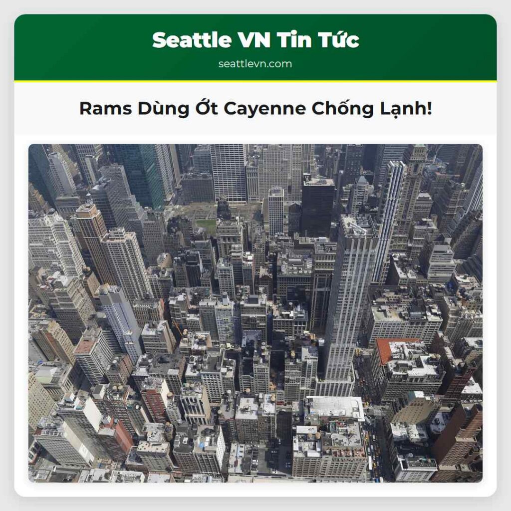 Rams Dùng Ớt Cayenne Chống Lạnh!