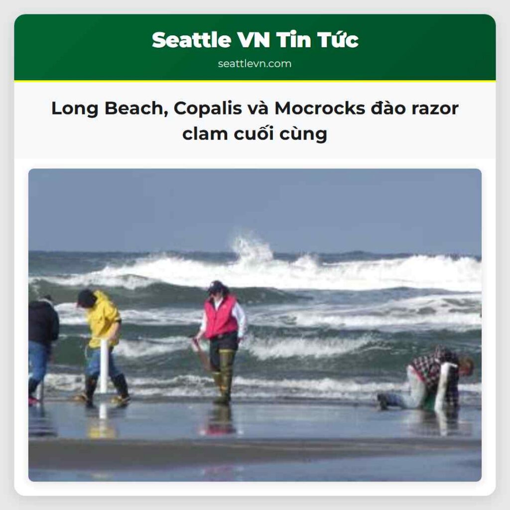 Long Beach, Copalis và Mocrocks đào razor clam