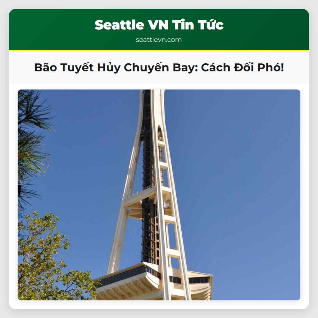 Bão Tuyết Hủy Chuyến Bay: Cách Đối Phó!