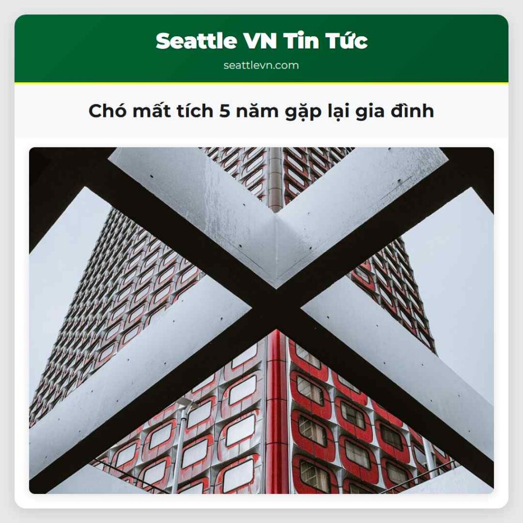 Chó mất tích 5 năm gặp lại gia đình