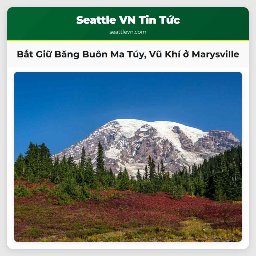 Bắt Giữ Băng Buôn Ma Túy, Vũ Khí ở Marysville