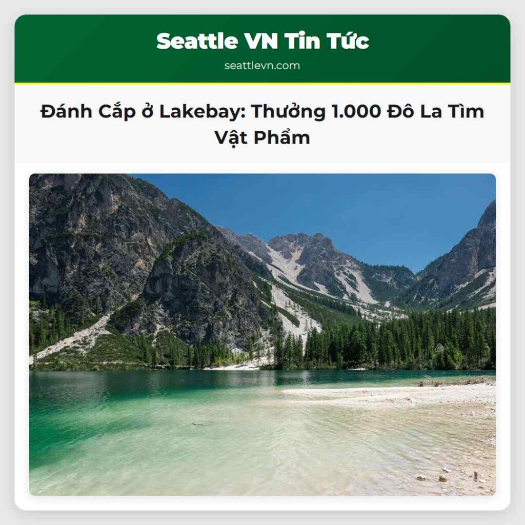 Đánh Cắp ở Lakebay: Thưởng 1.000 Đô La Tìm Vật