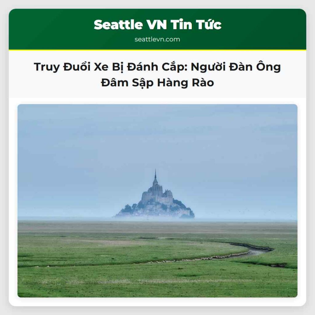 Truy Đuổi Xe Bị Đánh Cắp: Người Đàn Ông Đâm Sập