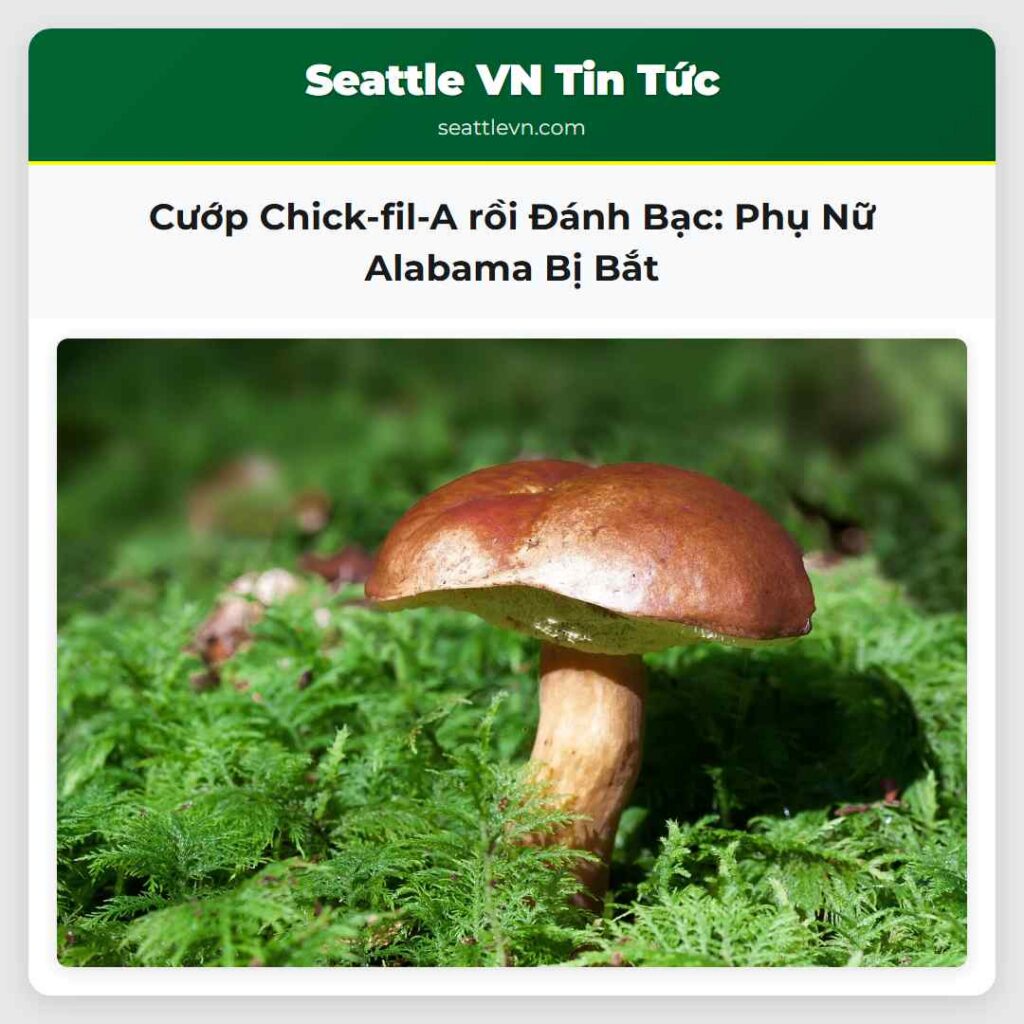 Cướp Chick-fil-A rồi Đánh Bạc: Phụ Nữ Alabama Bị