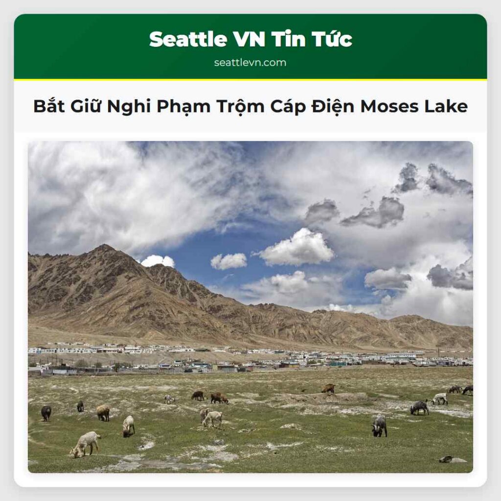 Bắt Giữ Nghi Phạm Trộm Cáp Điện Moses Lake