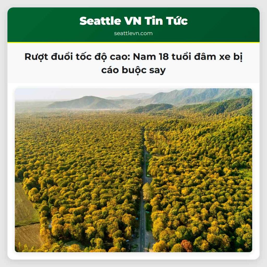 Rượt đuổi tốc độ cao: Nam 18 tuổi đâm xe bị cáo