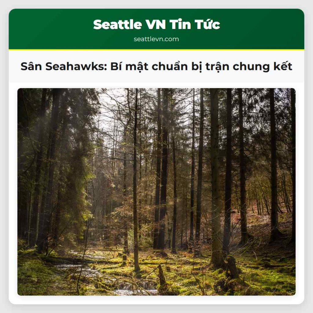 Sân Seahawks: Bí mật chuẩn bị trận chung kết