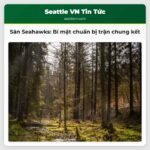Công việc thầm lặng sau hậu trường Đội ngũ chăm sóc sân Seahawks chuẩn bị Lumen Field cho trận chung kết NFC
