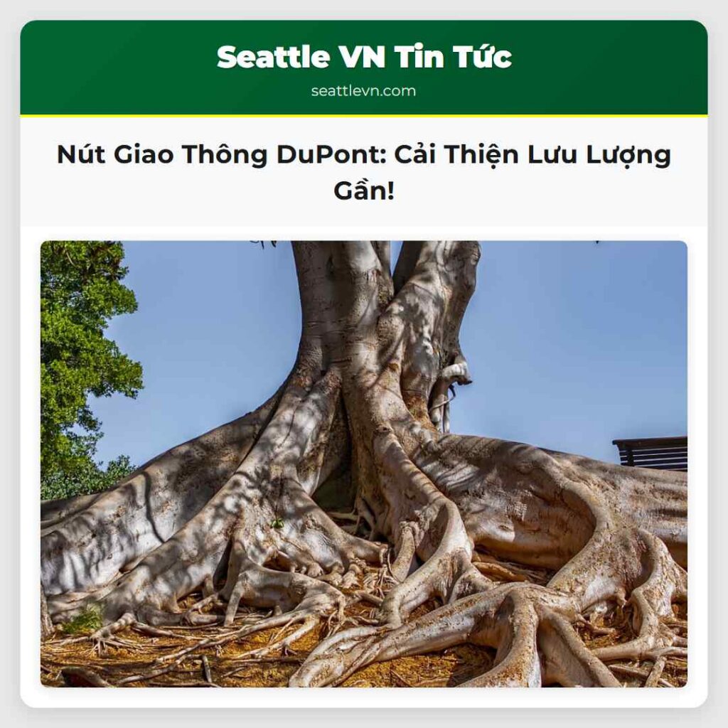 Nút Giao Thông DuPont: Cải Thiện Lưu Lượng Gần!