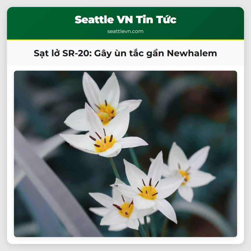 Sạt lở SR-20: Gây ùn tắc gần Newhalem