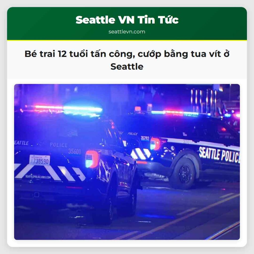 Bé trai 12 tuổi tấn công, cướp bằng tua vít ở