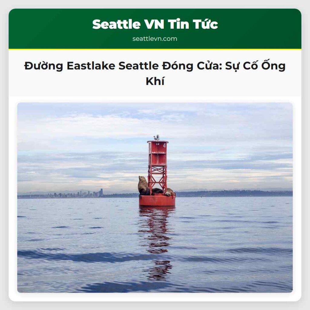Đường Eastlake Seattle Đóng Cửa: Sự Cố Ống Khí