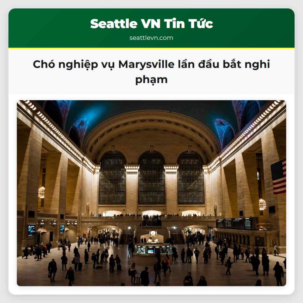 Chó nghiệp vụ Marysville lần đầu bắt nghi phạm