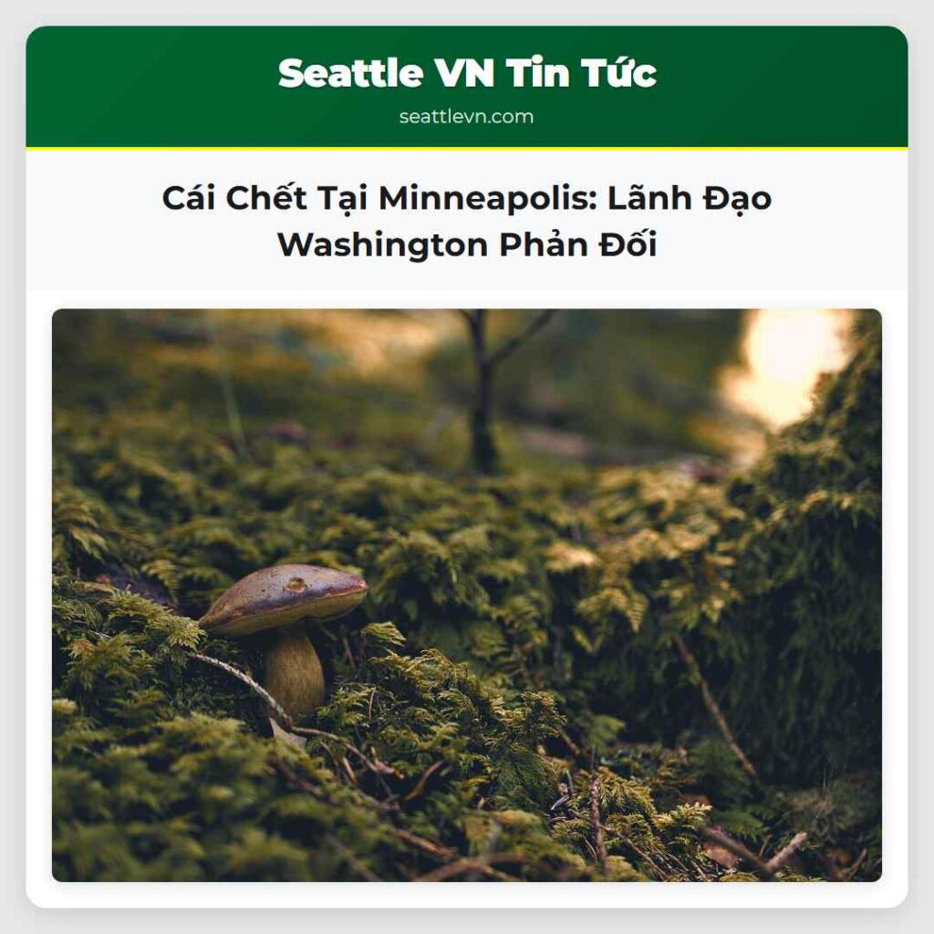 Cái Chết Tại Minneapolis: Lãnh Đạo Washington