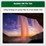 Vụ Cháy Chung Cư ở Lacey Mẹ và Bốn Con Được Cứu Hộ Từ Ban Công