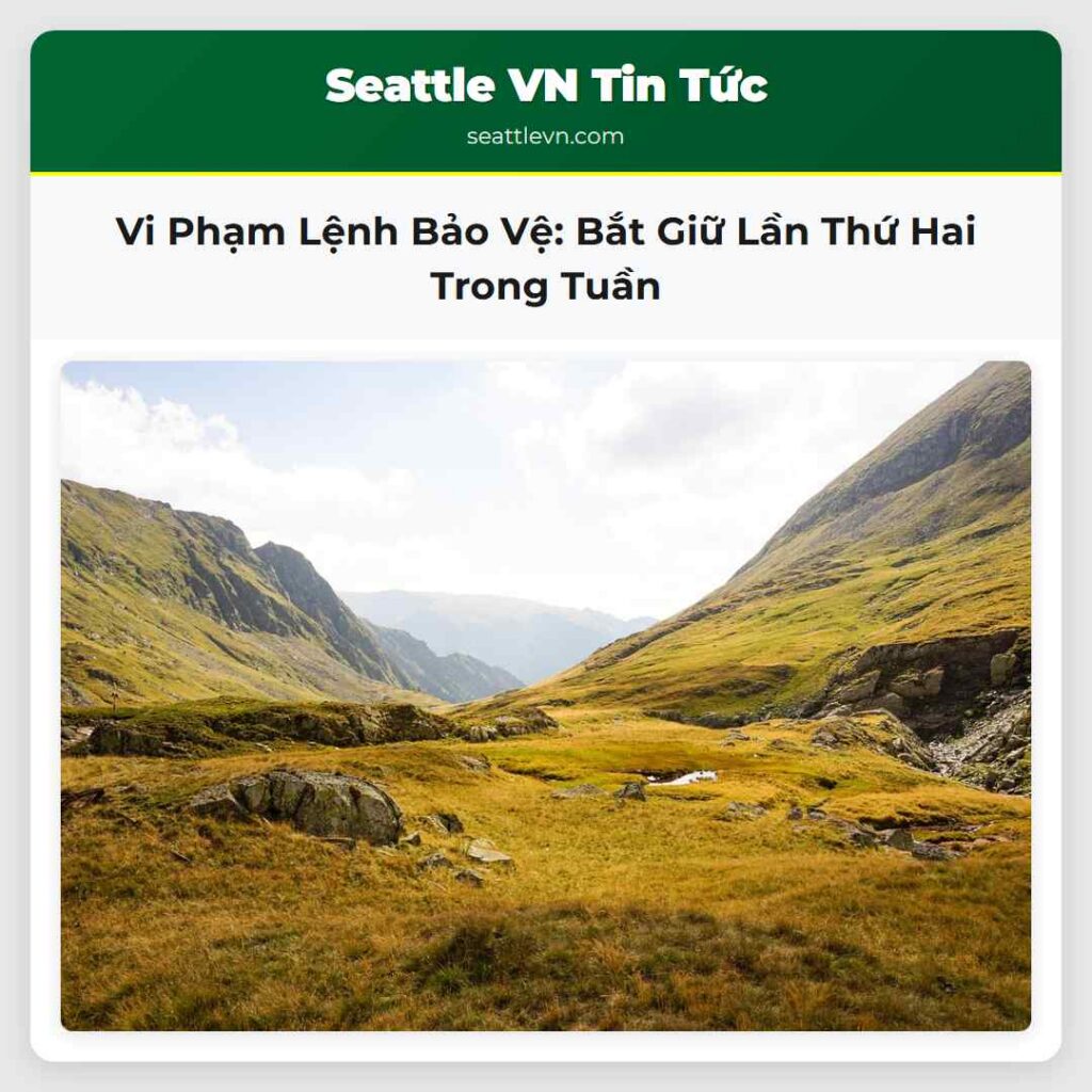 Vi Phạm Lệnh Bảo Vệ: Bắt Giữ Lần Thứ Hai Trong