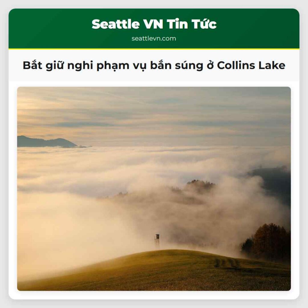 Bắt giữ nghi phạm vụ bắn súng ở Collins Lake