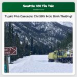 Lượng Tuyết Phủ ở Dãy Cascade Thấp Hơn Bình Thường Chỉ Đạt Khoảng 50%