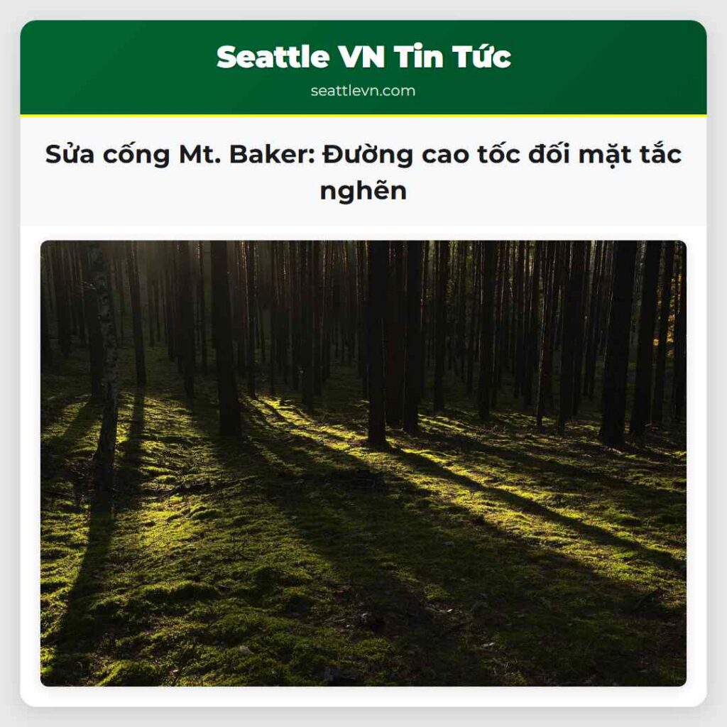 Sửa cống Mt. Baker: Đường cao tốc đối mặt tắc