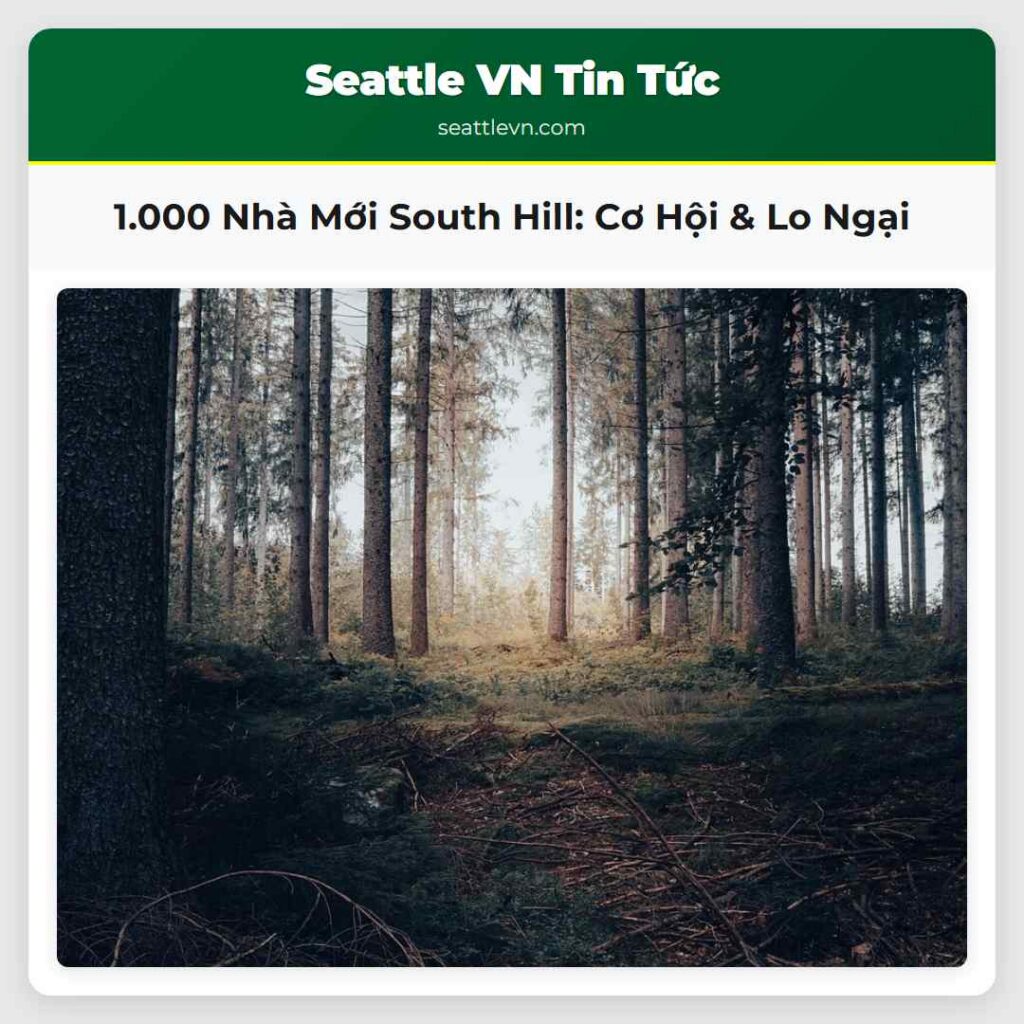 1.000 Nhà Mới South Hill: Cơ Hội & Lo Ngại