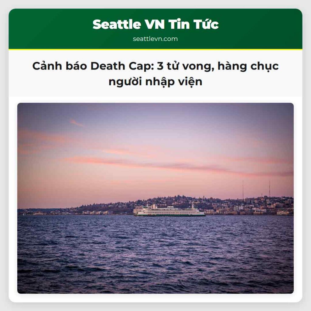 Cảnh báo Death Cap: 3 tử vong, hàng chục người