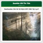 Seattle Seahawks Chào Đón Trận Đấu Vô Địch NFC Giá Vé Đắt Đỏ