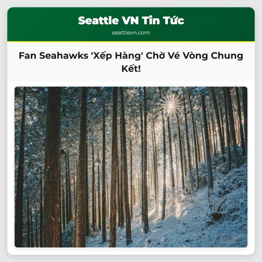 Fan Seahawks 'Xếp Hàng' Chờ Vé Vòng Chung Kết!