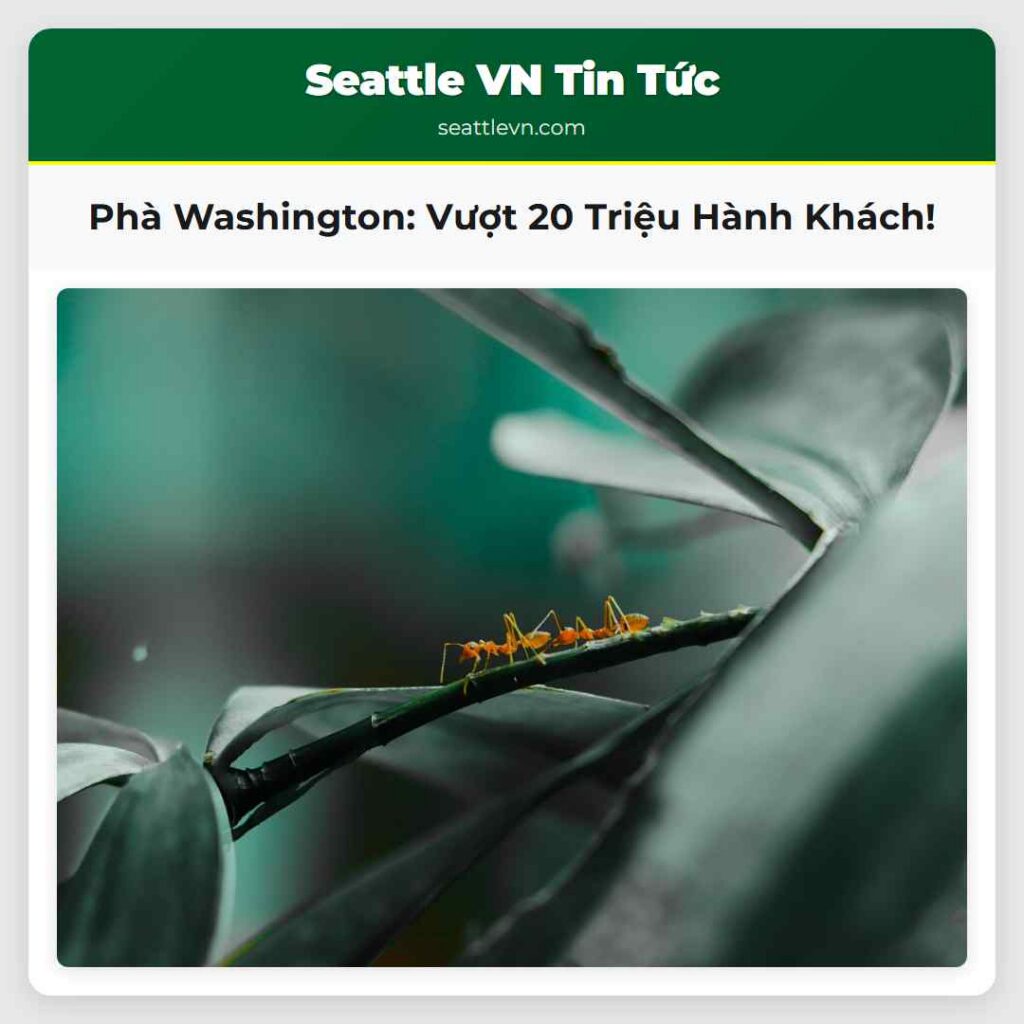 Phà Washington: Vượt 20 Triệu Hành Khách!
