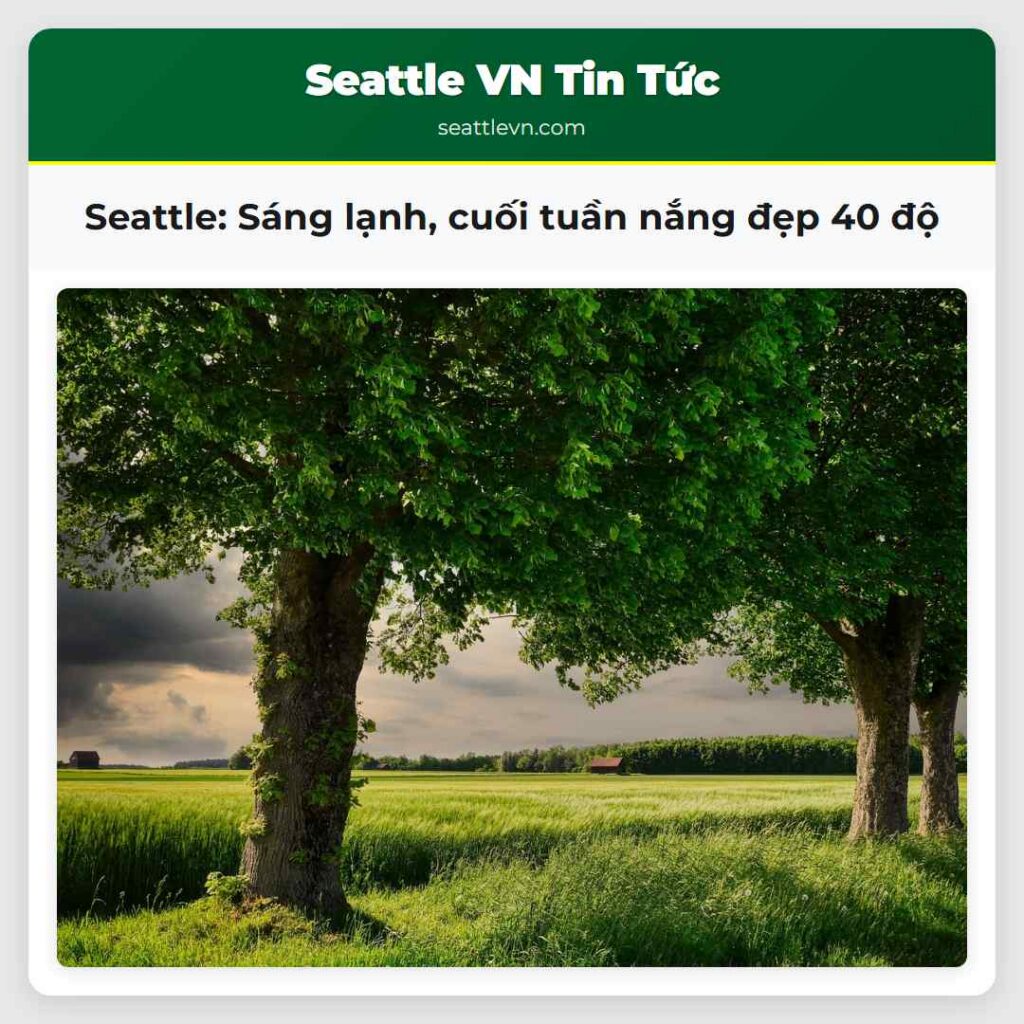 Seattle: Sáng lạnh, cuối tuần nắng đẹp 40 độ