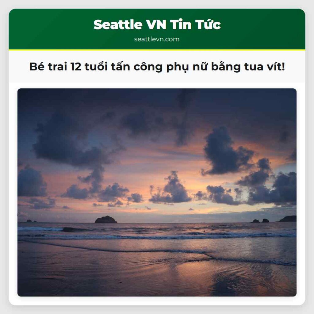 Bé trai 12 tuổi tấn công phụ nữ bằng tua vít!