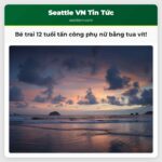 Bé trai 12 tuổi bị cáo buộc tấn công phụ nữ bằng tua vít đeo mặt nạ trượt tuyết hồng